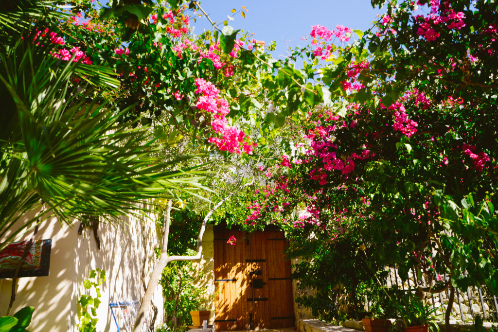 Villa Alma 12